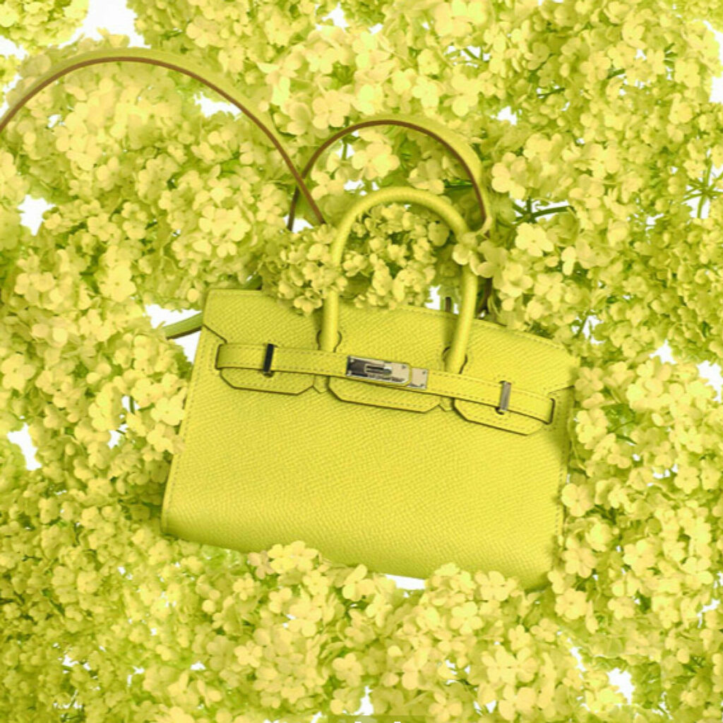 hermes mini kelly 1